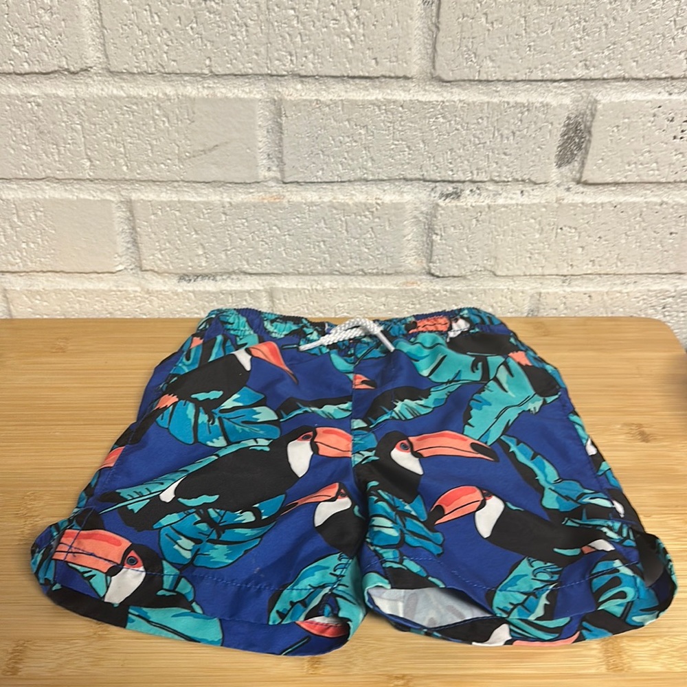 Toucan swim trunks